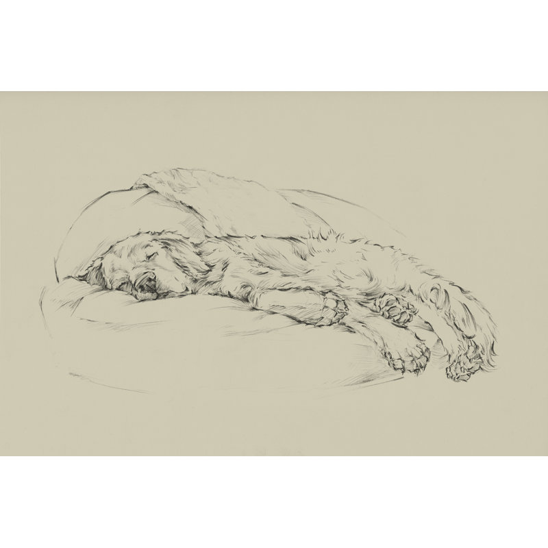 Golden Sketch I by Ethan Harper - Wrapped Canvas Print, 30cm H x 46cm W x 3.8cm D