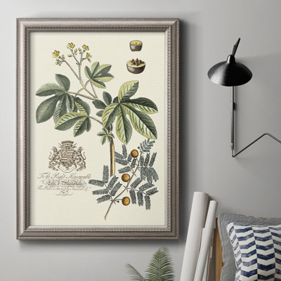" Imperial Foliage I "