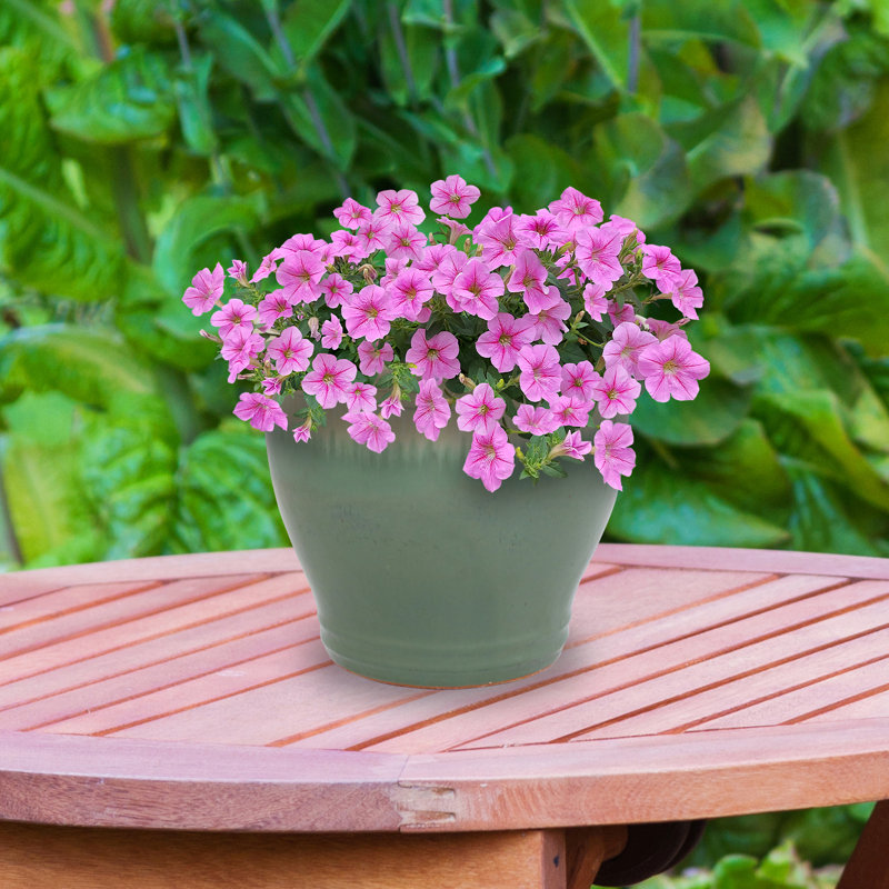 Jardinière extérieure Berlina, H 12,5 po x l 15 po x P 15 po, Écume de mer, écume de mer