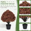 Topiaire artificielle 24 po 24 po-27040631