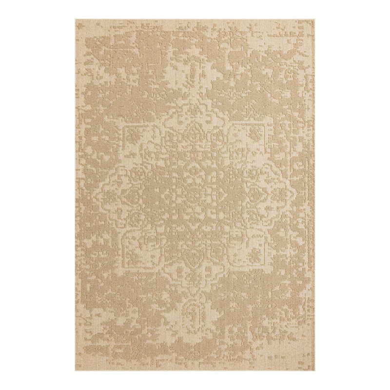 Indoor/Outdoor Traditional Area Rug, Rectangle 10' x 14'1"