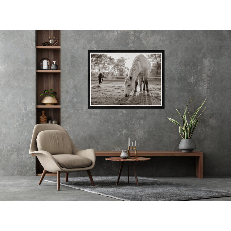 Grazing III Print by Tim Klein