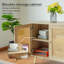 Allory Wicker/Rattan Rectangle Accent Cabinet