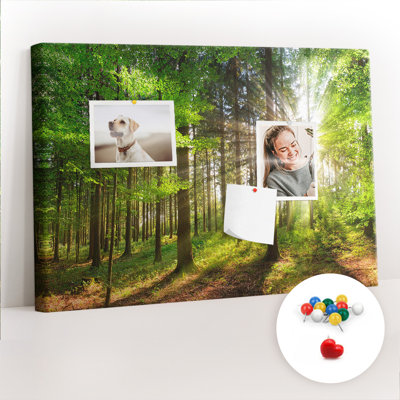 Anglique Cork Corkboard / Bulletin Board