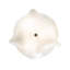 3 - Light Flush Mount