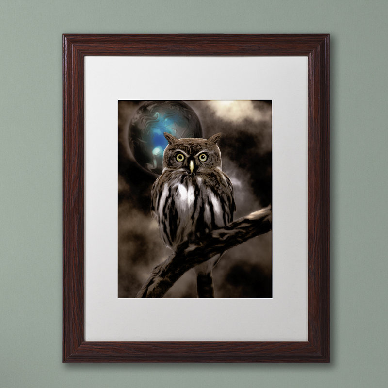 «Jadaya Night Owl» par Color Bakery, impression encadrée, Blanc, H 20 po x l 16 po x P 0,5 po, Toile encadrée noire