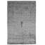 Oriental Area Rug in Light Gray