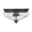 Plafonnier encastré 2 lumières 13 po Reichert-23981969-40963416