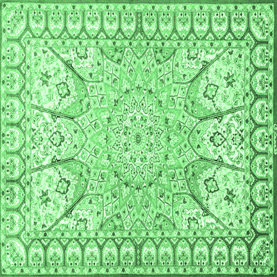 Washable Oriental Indoor Rug