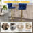 Premium Adjustable Bar Stool