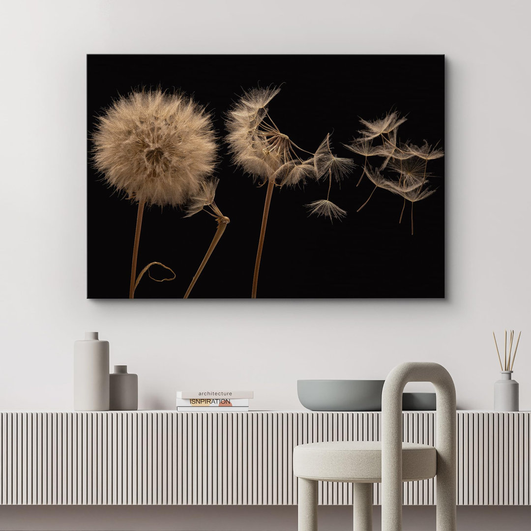 Dandelion " Dandelion Flower Closeup Photography Modern Art Decor Country Multicolor Rustic Minimal For Bedroom " IDEA4WALL Overall 