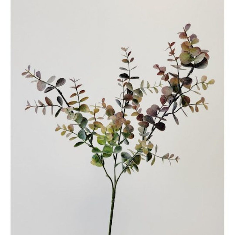 Jet d'eucalyptus