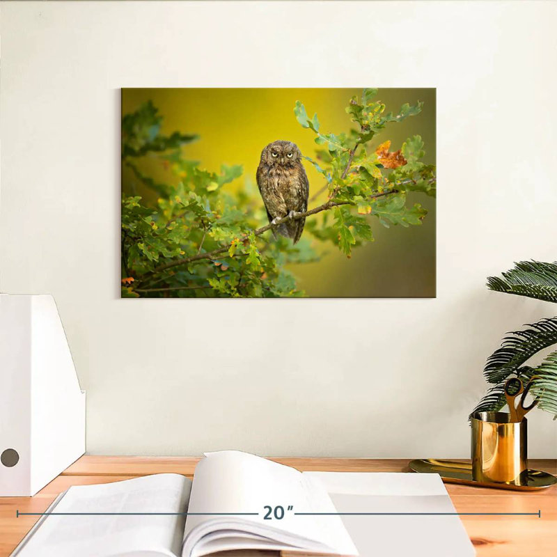 Owl Perching On Tree, 8" H x 12" W