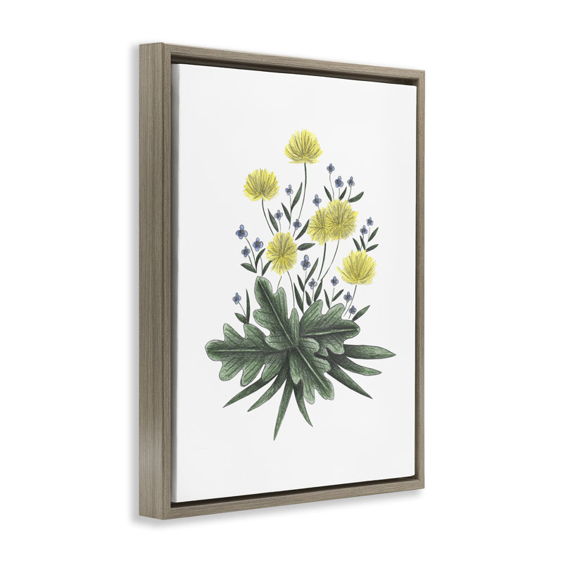 Cadre flottant Dandelion Flower Illustration, design par Cecilia Battaini, H 21 po x l 17 po, Cadre flottant orme Montalcino