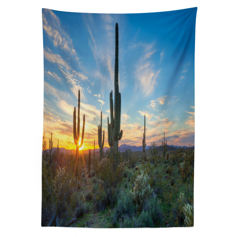 Nappe ambesonne saguaro, le soleil est défini entre les plantes de cactus avec spins 12:00 design sauvage, housse de table rectangulaire pour la cuisine de salle à manger décoration, 52 po x 70 po, bleu vert