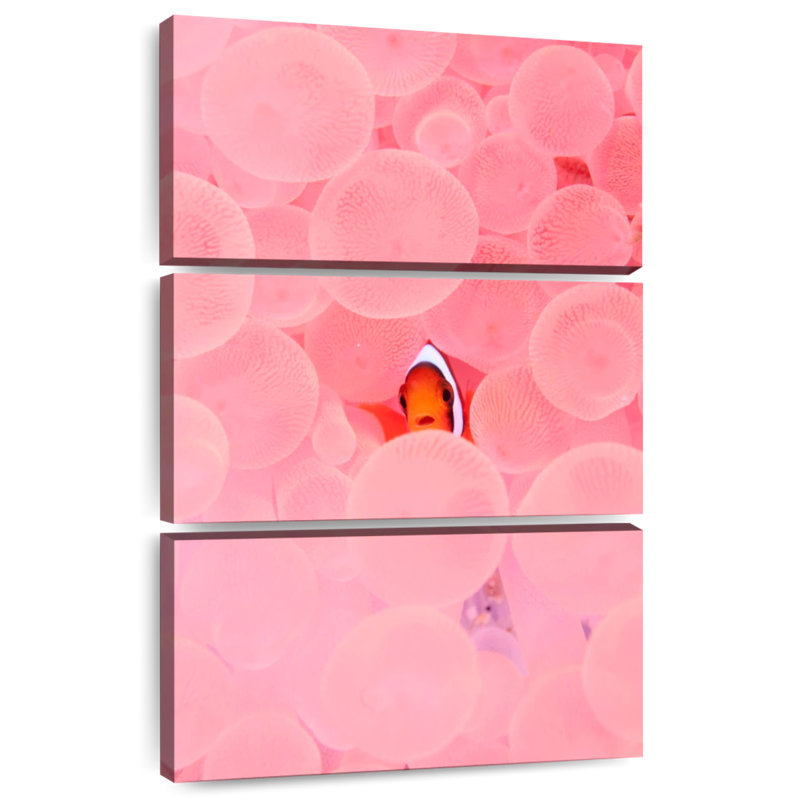 Habitat rose poisson-clown, H 32 po x l 20 po