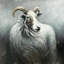 Chèvre cachemire - Animaux de salon, reproduction encadrée