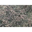 Neo Villa Oriental Area Rug in Green