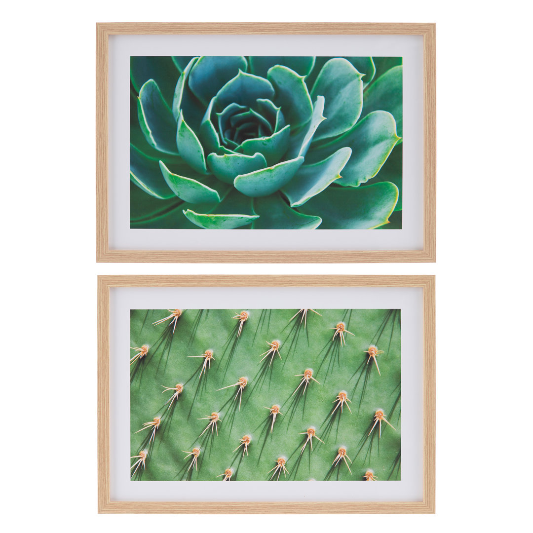 Cactus - 2 Piece Picture Frame Art Prints Set