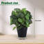 Plante artificielle en pot Fittonia