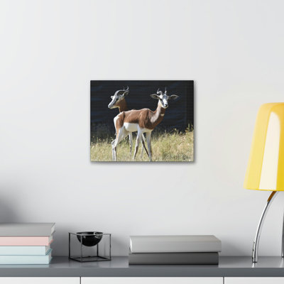 No Frame Print on Canvas