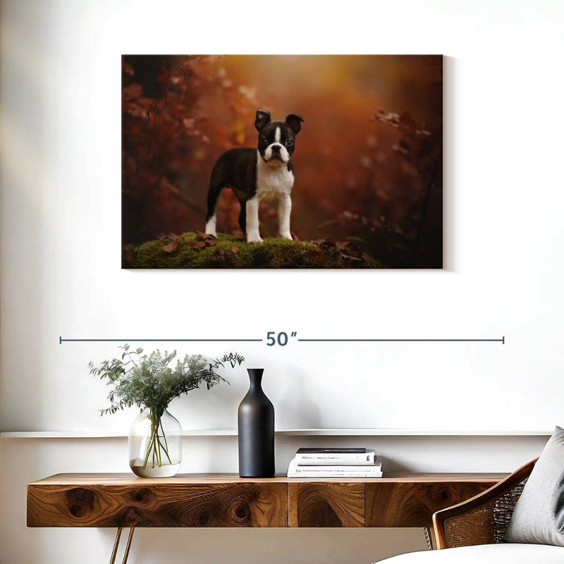 Bébé terrier de Boston, H 24 po x l 36 po
