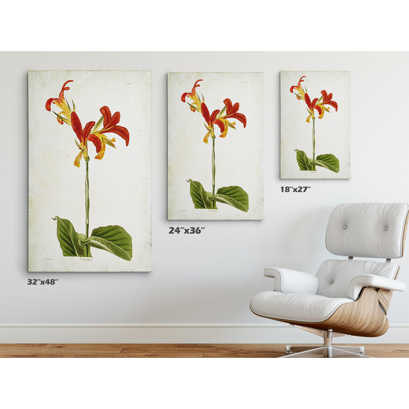 « botanique plate viii », reproduction d’impression sur toile tendue, H 18 po x l 27 po x P 1,5 po