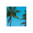Framed Paper n'est pas disponible