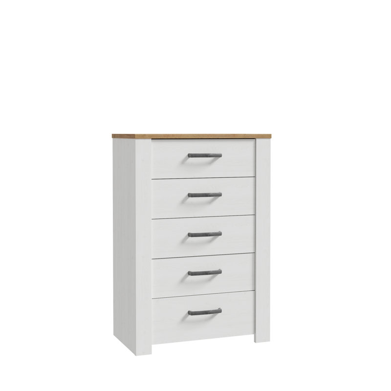 Pulkit 5 - Drawer Rectangle Accent Chest, White/Brown