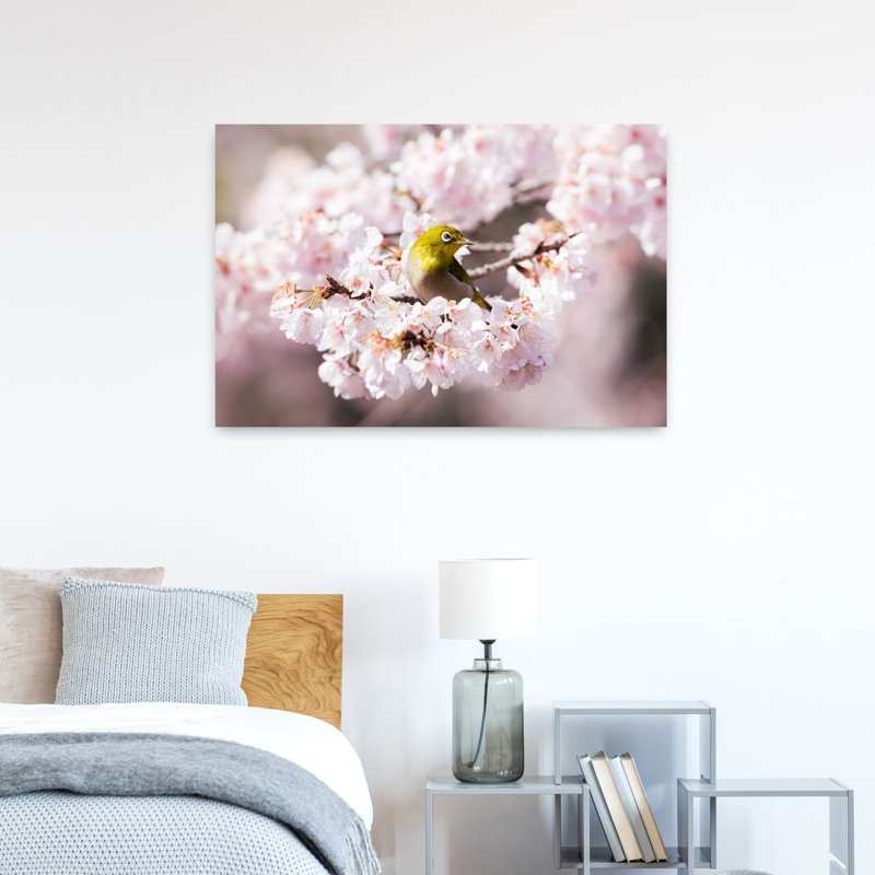 White-Eye On Sakura Blossoms by Haruma Okubo - Wrapped Canvas Print, 60.96 cm H x 91.44 cm W