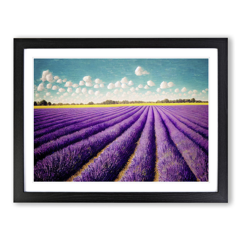 Dashing Lavender Flower Field - Framed Print, 34cm H x 46cm W x 2cm D, Black