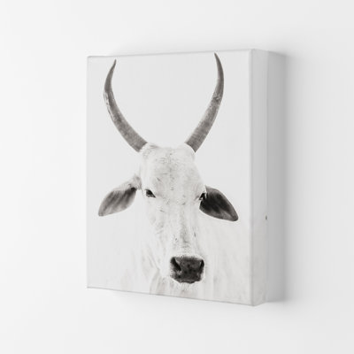 White Cow I by Victoria Frost - Single Picture Frame Print