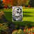 Black/White Fall