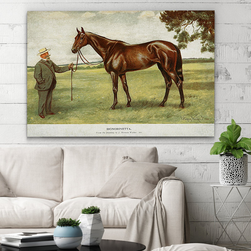 « équin drawing ii », impression, H 18 po x l 27 po x P 1,5 po, Pas de tapis, Toile tendue