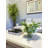 Hydrangea Arrangement in Vase