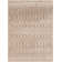 Dakota Fields Burrillville Taupe Bohemian Machine Washable Indoor Rug