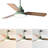 Janovia 48'' Ceiling Fan with LED Lights-1118487064