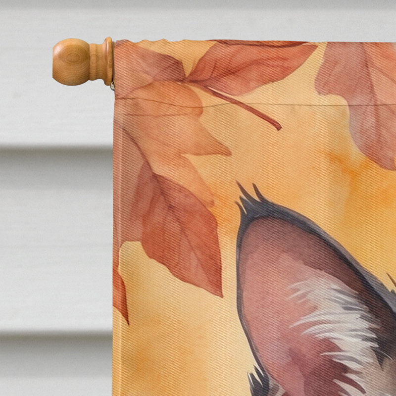 Chat en feuilles d'automne, Lykoi