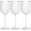 Disposable Wine Glass