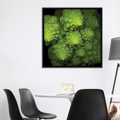 " Lime Green Broccoflower " Color Photography
