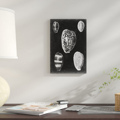 «Alabaster Shells VI» par Vision Studio - reproduction d'art sur toile tendue