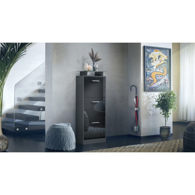 12 Pair Shoe Storage Cabinet, Anthracite/Black