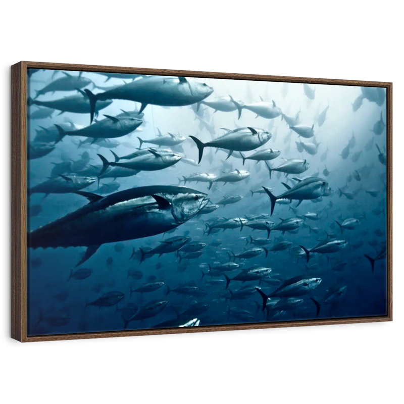 School Of Tuna, Floating Frame Black, 13" X 9"