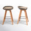 Leandra Outdoor Teak Bar Stool