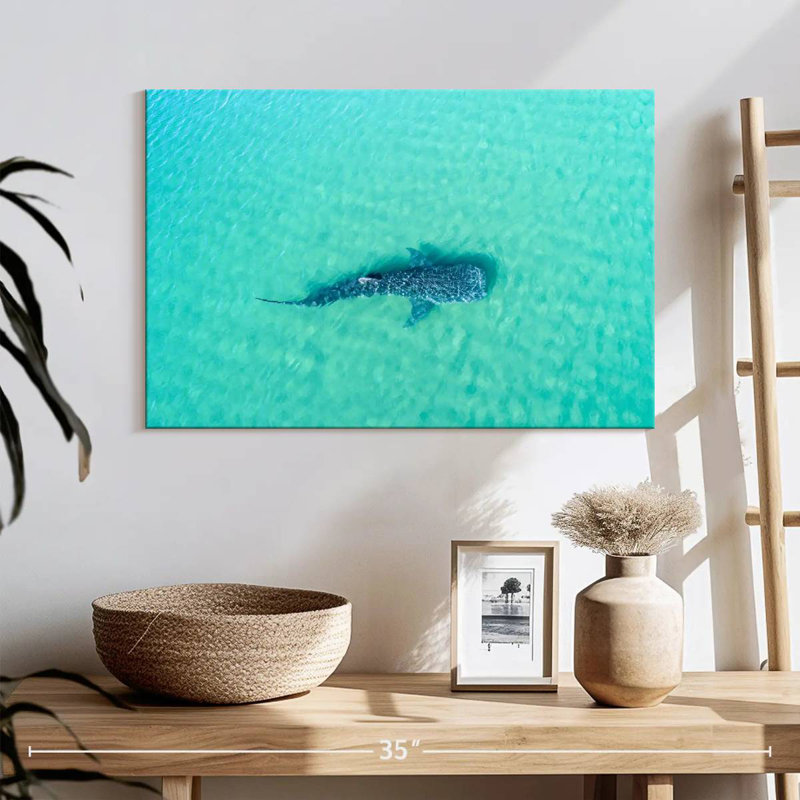 Crowle, requin baleine La Paz, H 16 po x l 24 po