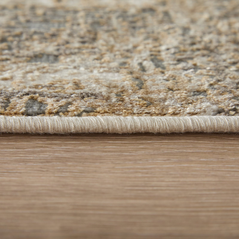 Addolorato Abstract Indoor Rug, Rectangle 3'9" x 5'7"