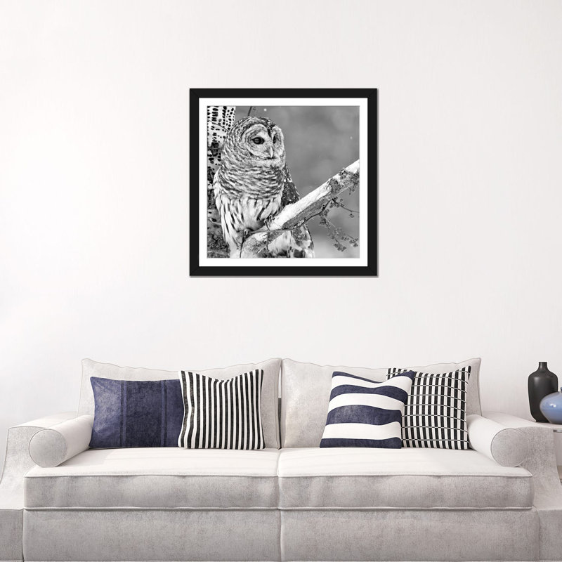 White Owl par PhotoINC Studio - Toile tendue avec châssis, H 16 po x l 16 po x P 1 po, Papier beaux-arts encadré noir, Blanc
