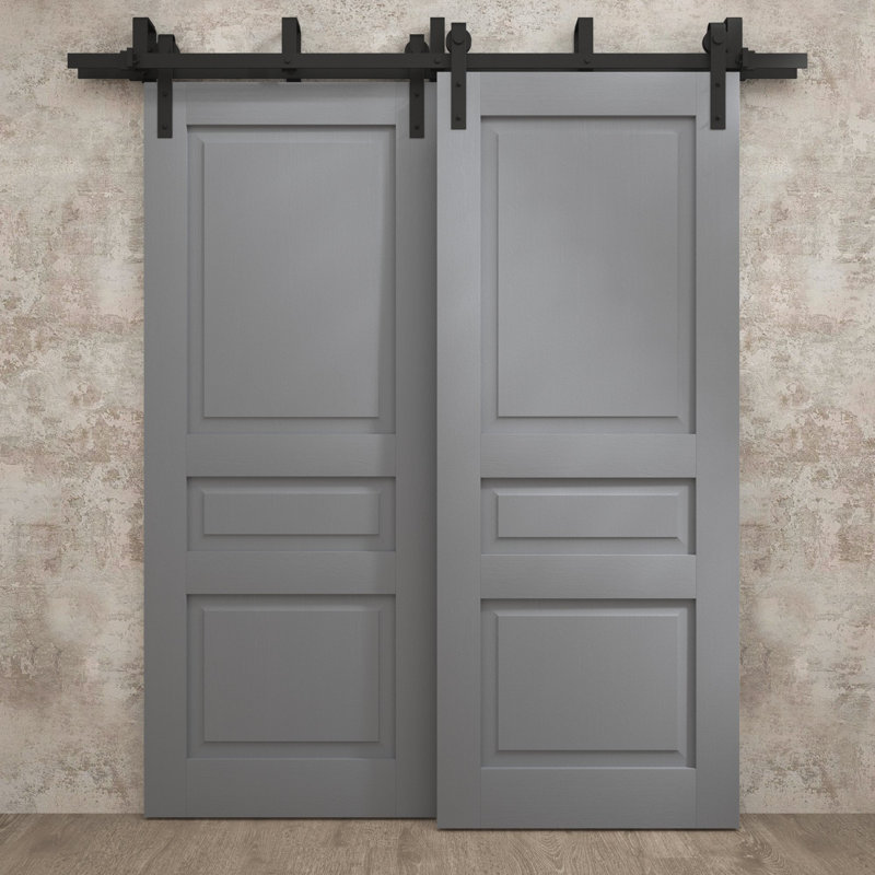 Portes coulissantes de grange coulissantes pour garde-robe | Ego 5012 | Ensemble de quincaillerie Modern Rails | Portes de garde-robe de chambre en bois massif