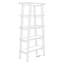 Apanas Ladder Bookcase-1406123777