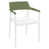 Blanc-vert olive